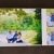 Family Album | 03.03.15-albums.1656.jpg